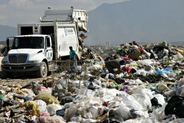 Basura: un problema con el que nadie se quiere ensuciar